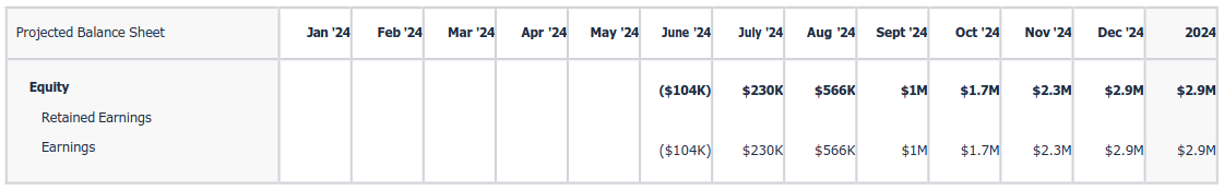 projected balance sheet 2024 b