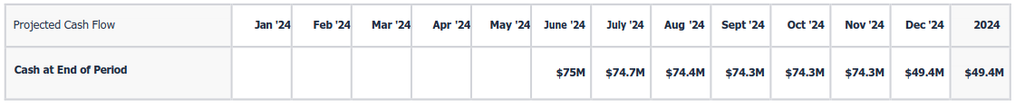 projected cash flow 2024 b